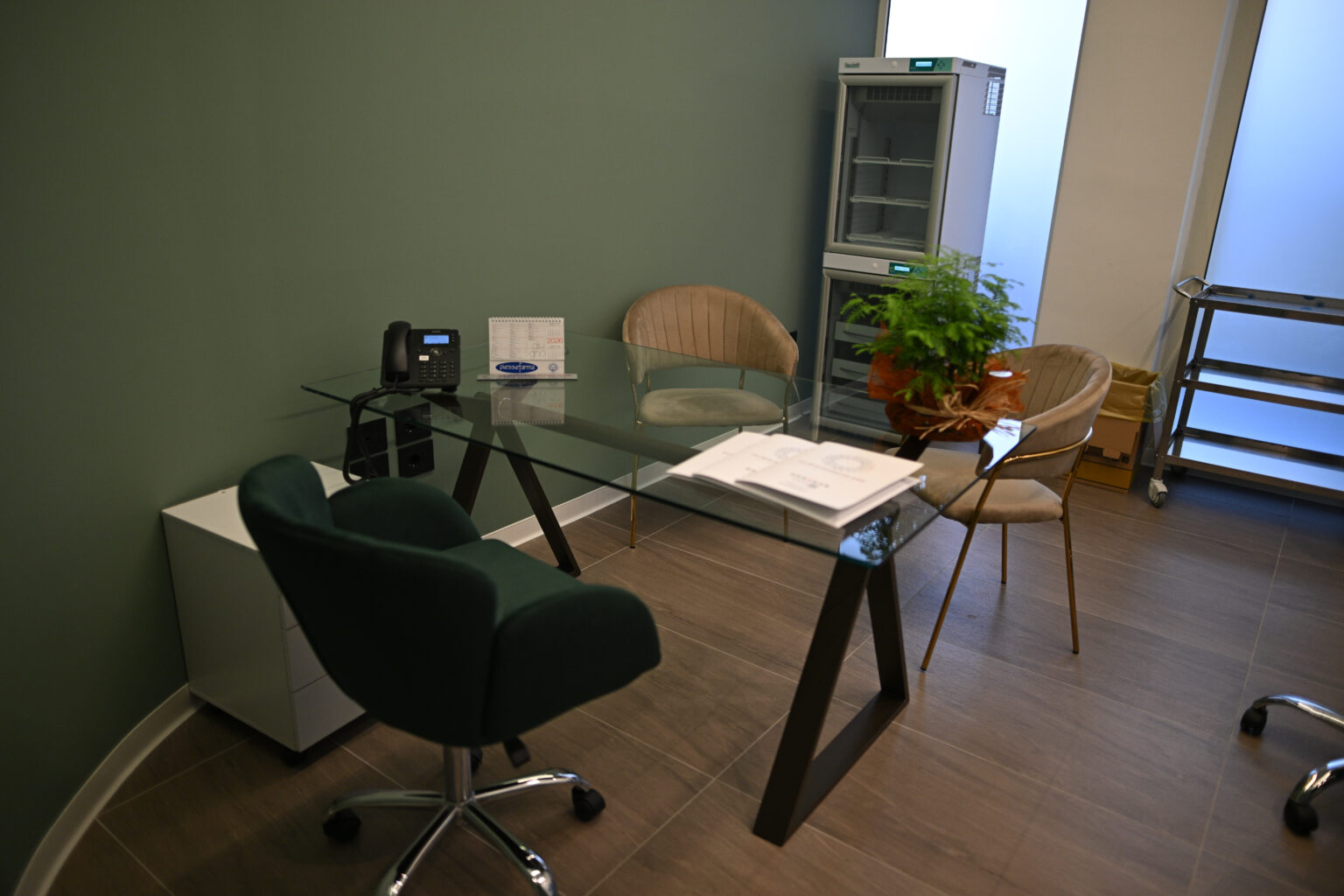 clinica vascolare - disponibilità